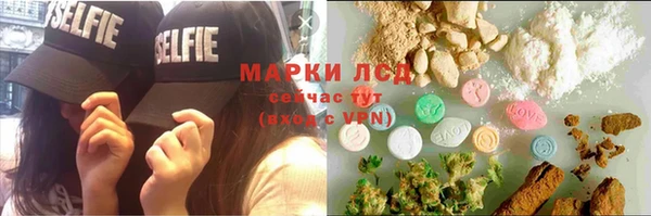 индика Белоозёрский
