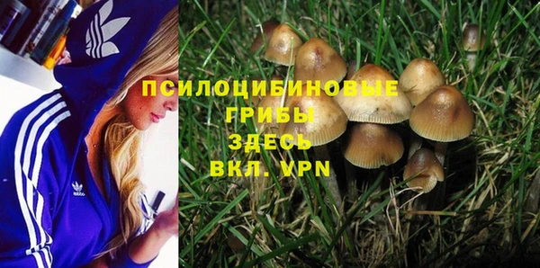 индика Белоозёрский
