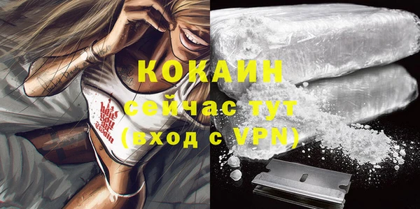 дживик Беломорск
