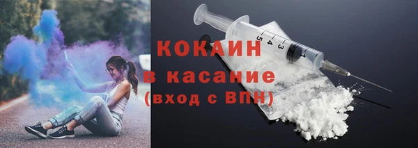 индика Белоозёрский