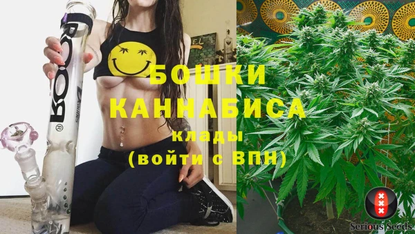 дживик Беломорск