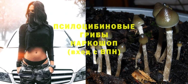 дживик Беломорск