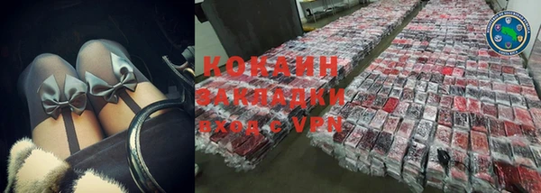 индика Белоозёрский