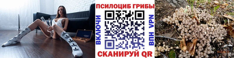 Псилоцибиновые грибы прущие грибы  закладка  Дагестанские Огни 